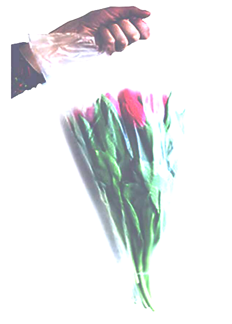 SAC CONES FLEURS BD ( TRANSPARENT CT DE 1000 )