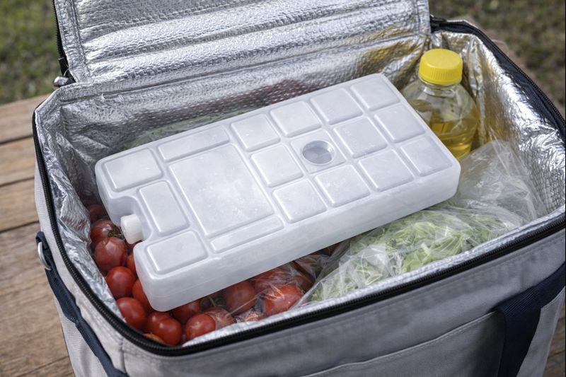 ACCU FROID RECT. 0/+4°C 20.1X10.8X4 CM PEHD x1