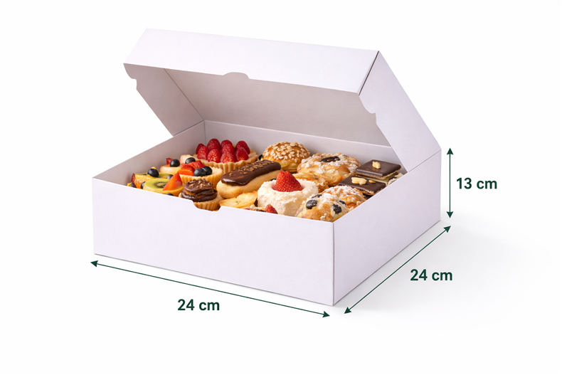 BOITE PAT 24X24X13 PQT 25