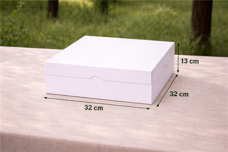 BOITE PAT 32X32X13 PQT 25