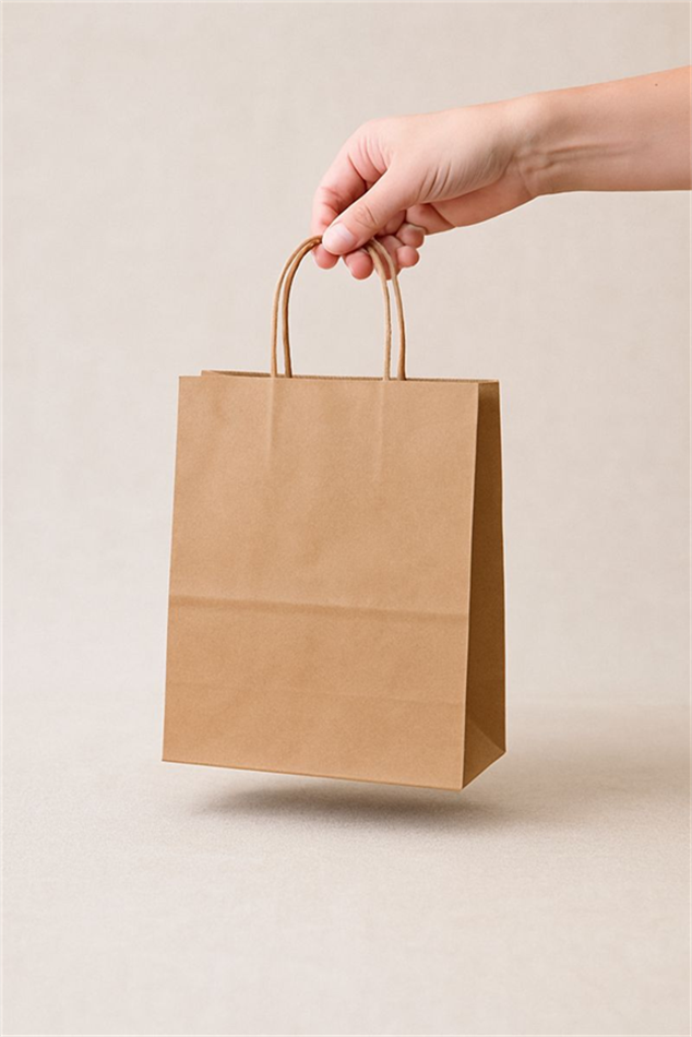 SAC KRAFT BRUN TORSADES 90G 21X27X11 ( PQT DE 100 )