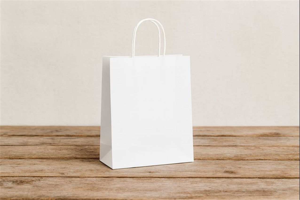 SAC KRAFT BLANC 90G 21X27X11 TORSADES ( CT DE 300 )