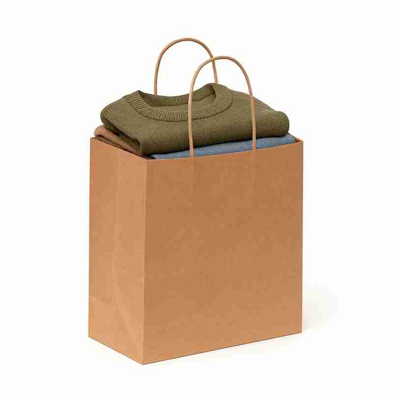 SAC KRAFT BRUN 90G 25X27X13 PQT DE 50 TORSADES