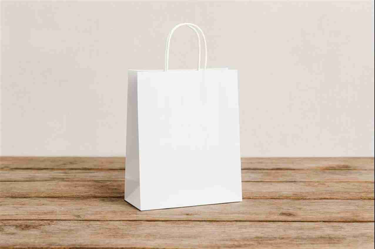 SAC KRAFT BLANC 90G 21X27X11 TORSADES ( CT DE 300 )